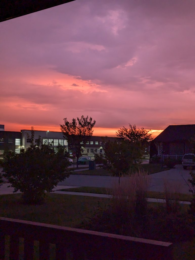 The skies out my front door, vivid oranges & pinks.